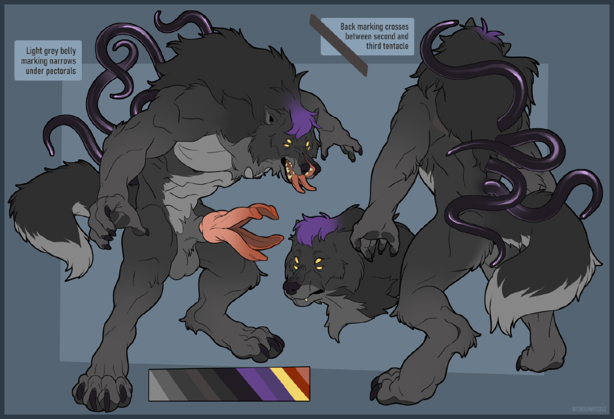 A reference sheet for an alien werewolf character.  The creature has predominantly dark gray fur, but with purple hair on the top of his head.  He has a muscular figure, but with a hunched-forward posture.  He has four eyes, one pair above the other.  His maw opens along the normal axis, but also along the vertical axis, splitting four ways.  His tongue is divided in two halves.  He has teeth along all of the edges of his maw (8 biting surfaces).  He has four latex-like tentacles sprouting from along his spine, tipped with normal, rounded ends.  He is also erect, with navel orange sized testicles and a foot-long canine shaft (complete with knot and nub at the tip) that splits the same way his maw does.  A curved indentation along the inner edge of each quarter of his shaft forms the tube through which he ejaculates and eliminates, when the four quarters are pressed together.